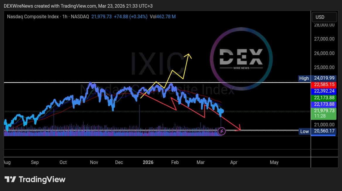 DEXWireNews - Team tweet media