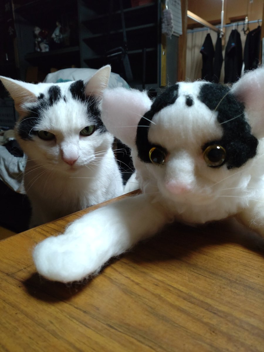 もなか tweet media