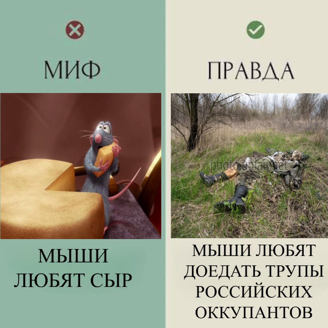 Вы поняли, да? tweet media