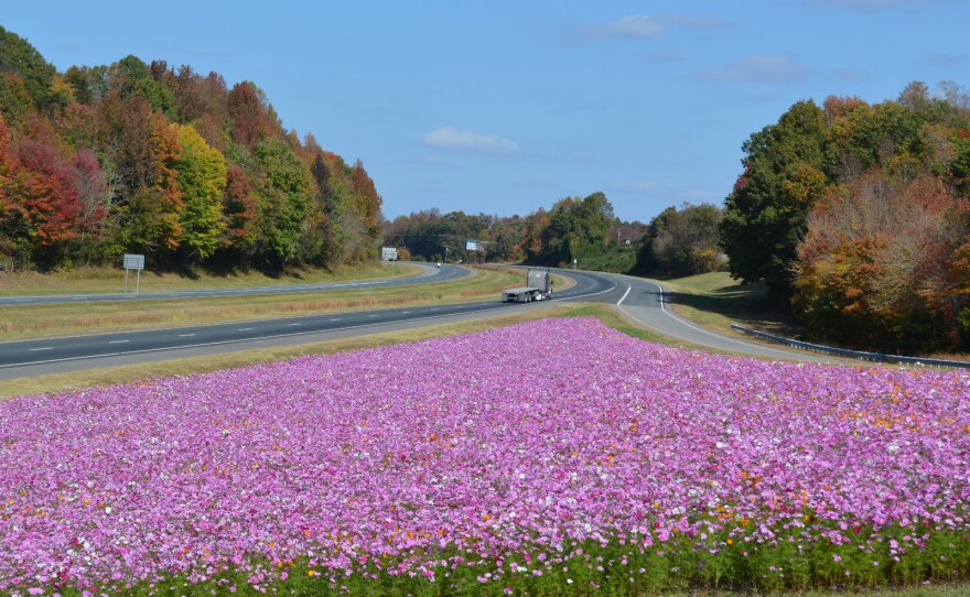 Give A Shit About Nature tweet media