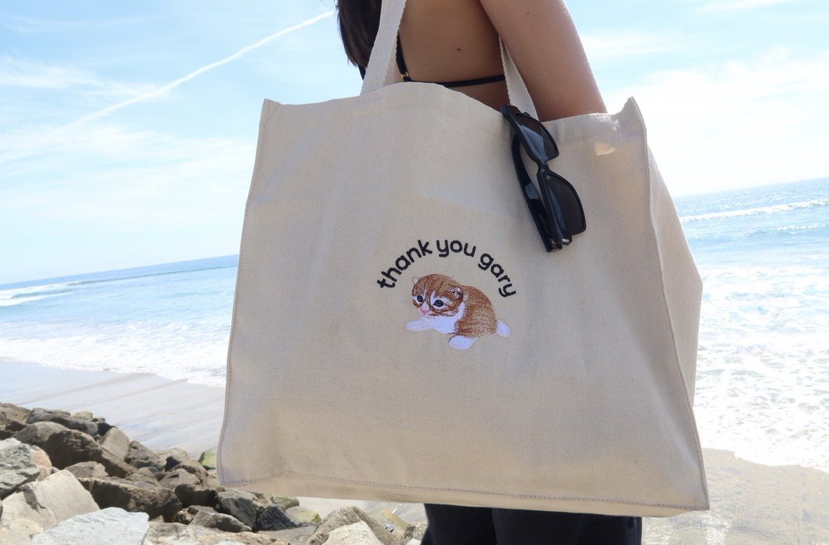 thankyougary.store tweet media