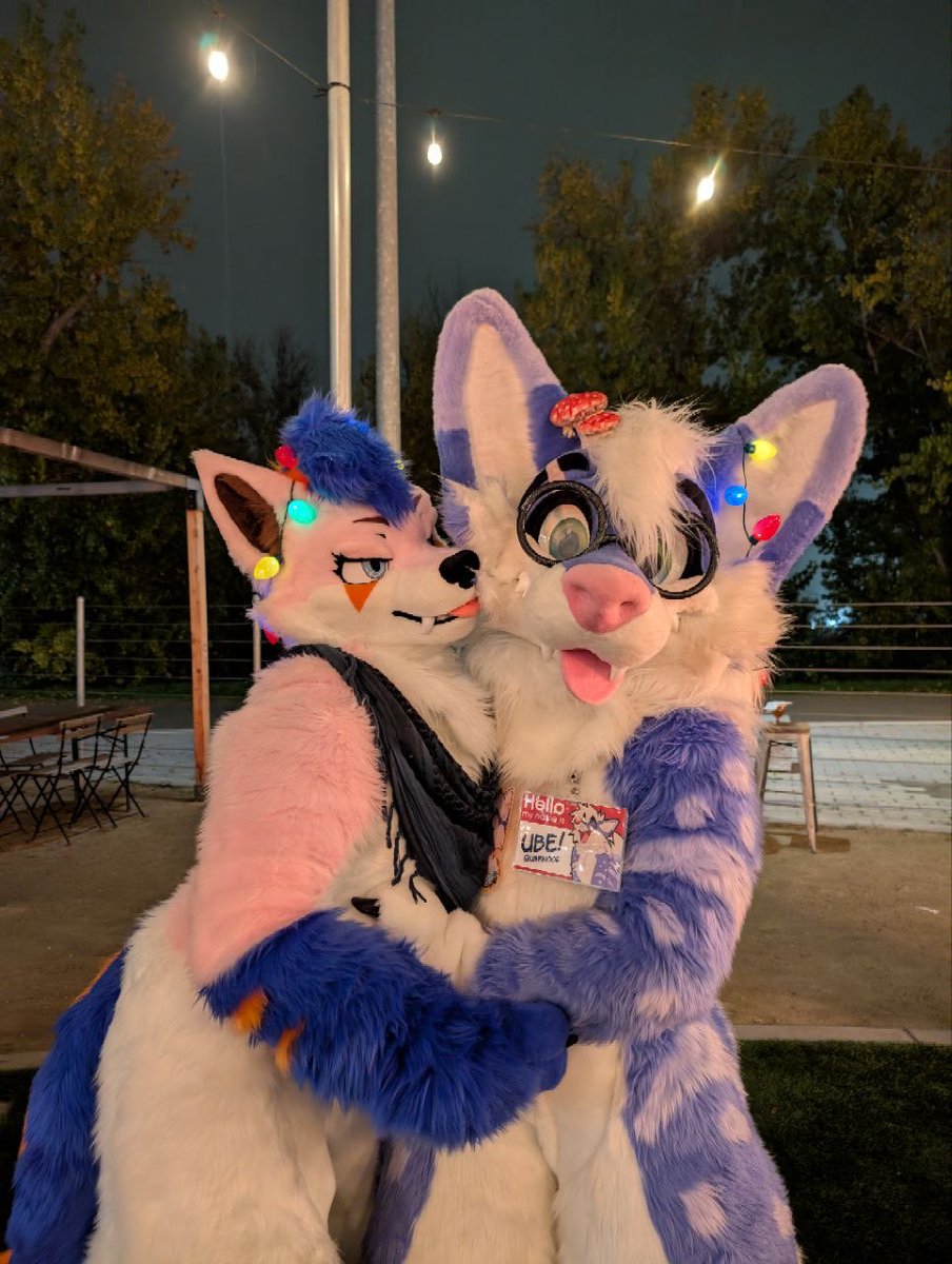 Finn 🔜 LVFC tweet media