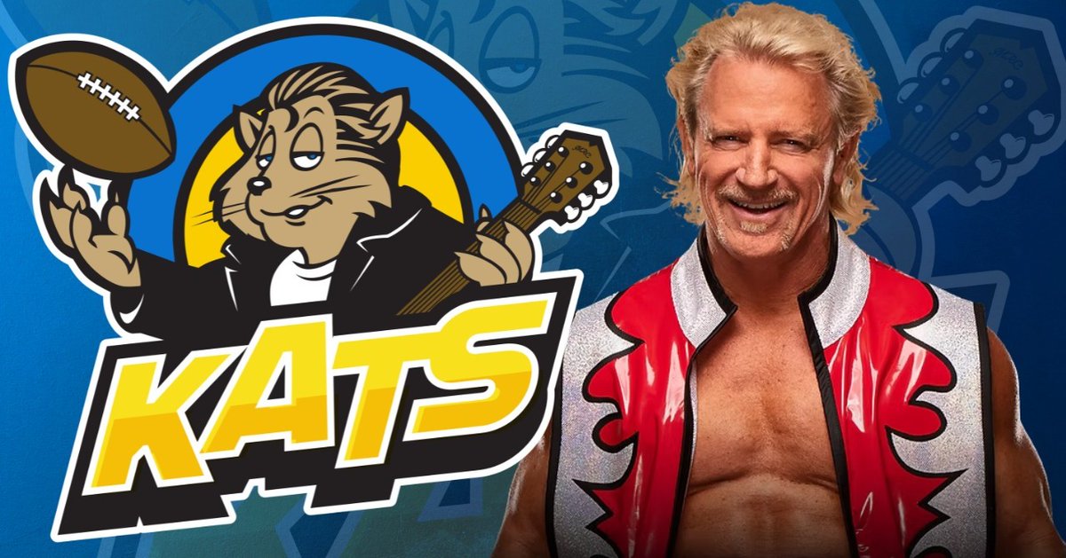 AF1 Fan Zone tweet media