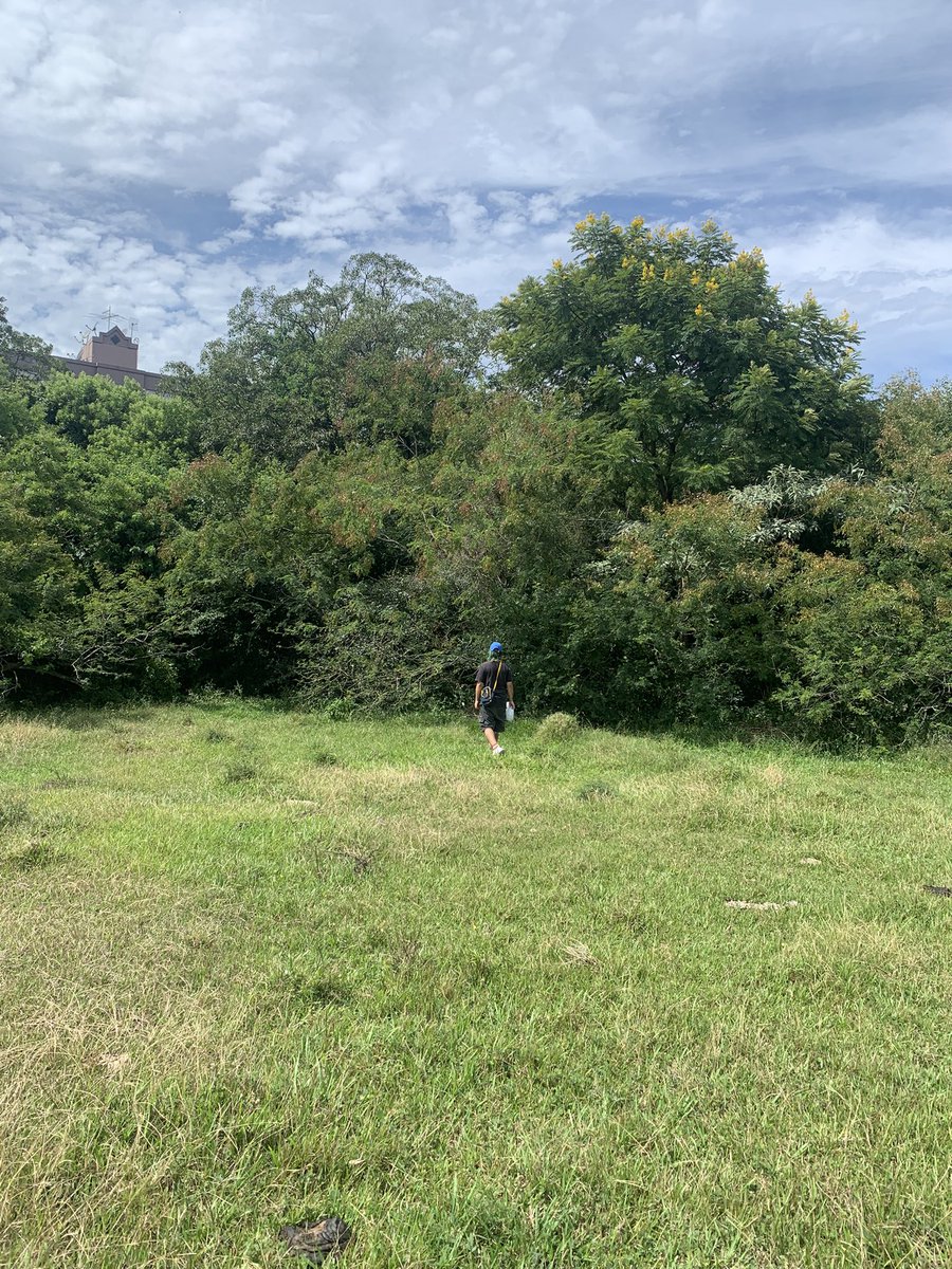 cartuxinha tweet media