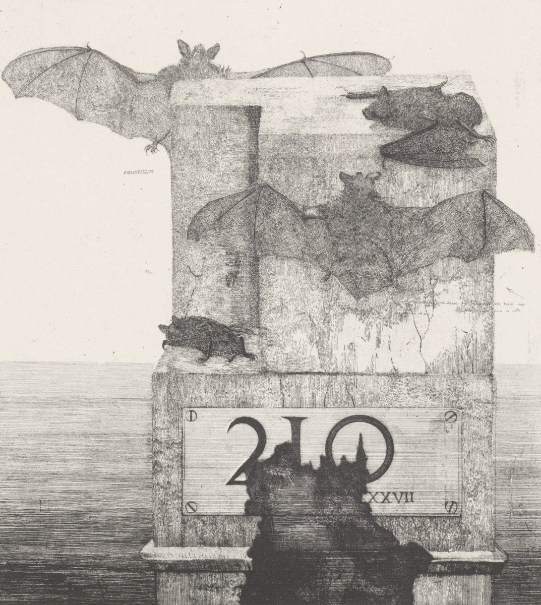 Conraid (Blank) tweet media