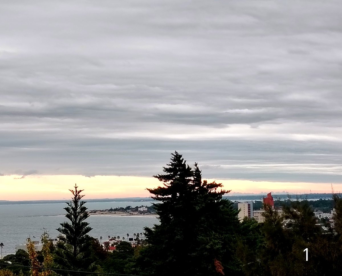 Mario Invernizzi tweet media