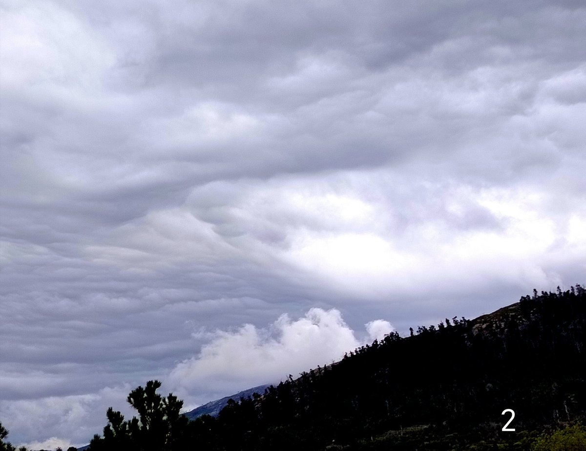 Mario Invernizzi tweet media