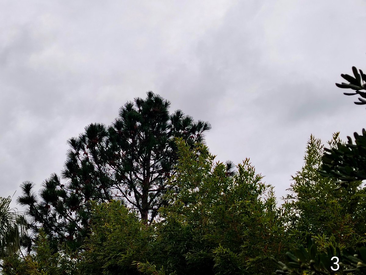 Mario Invernizzi tweet media