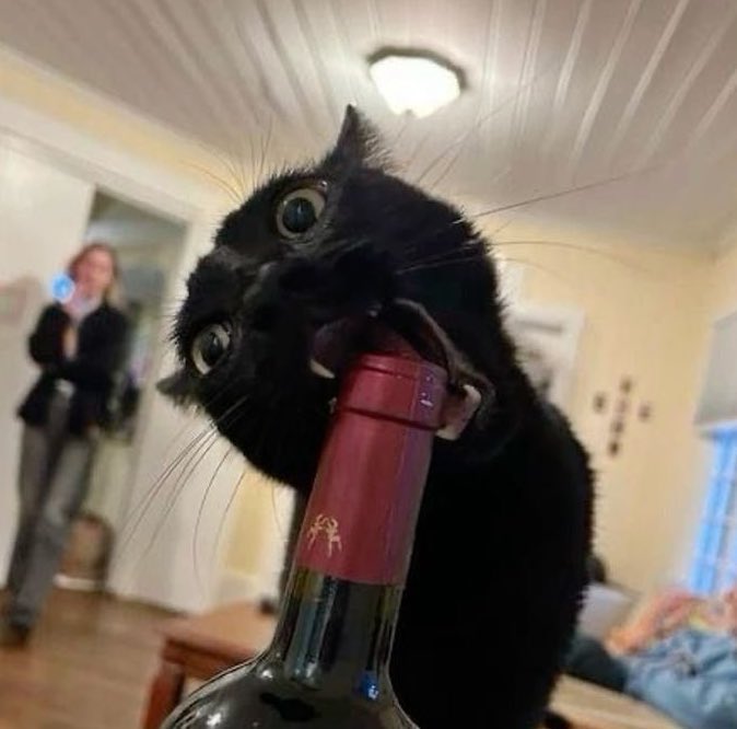 bela ⭒ tweet media