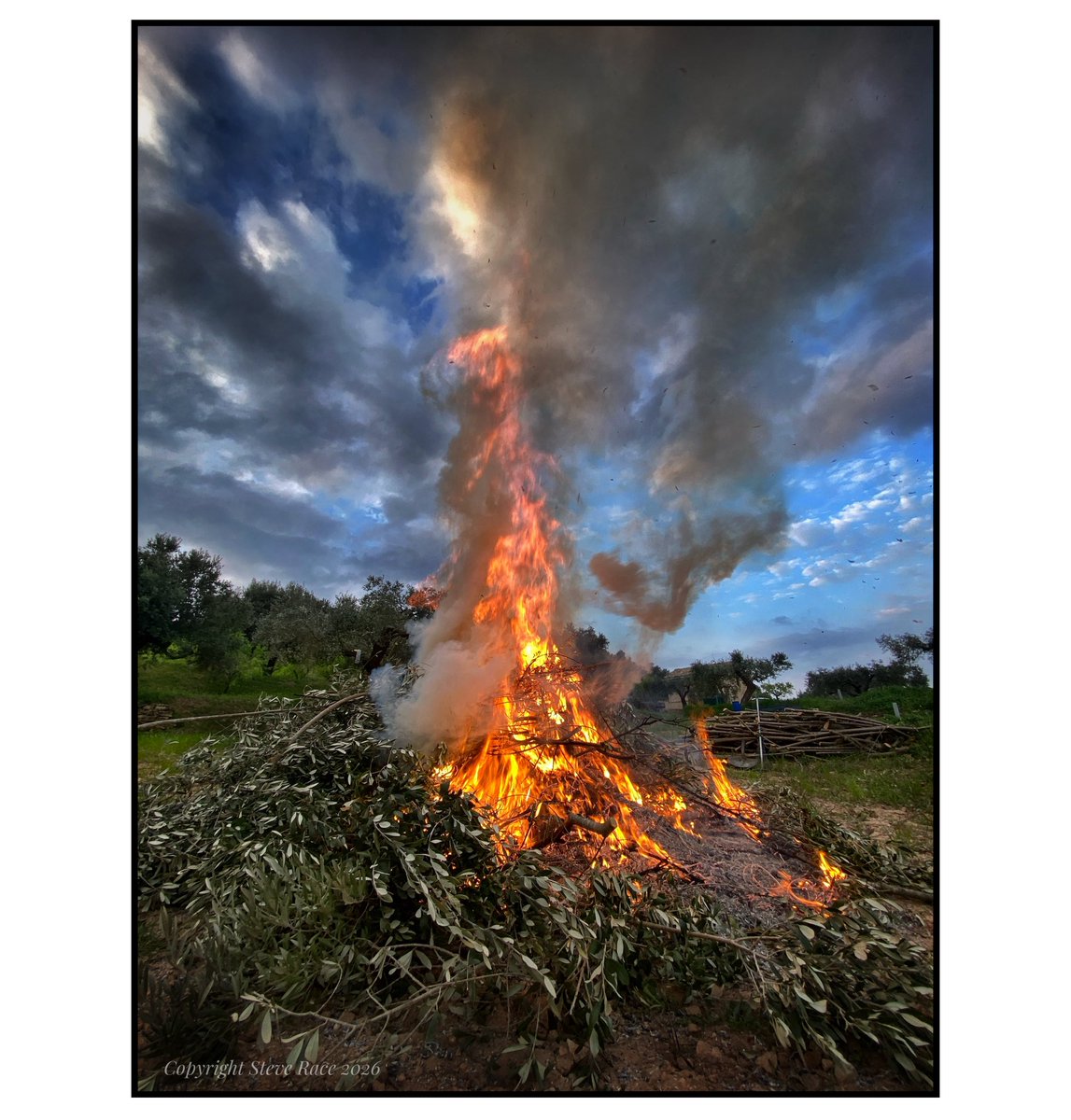 Steve Race tweet media