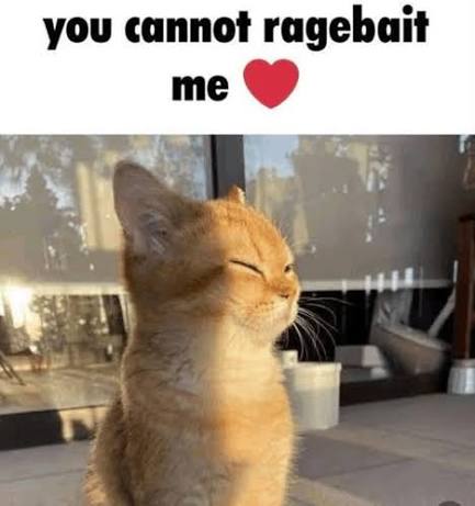 TheSun708 tweet media