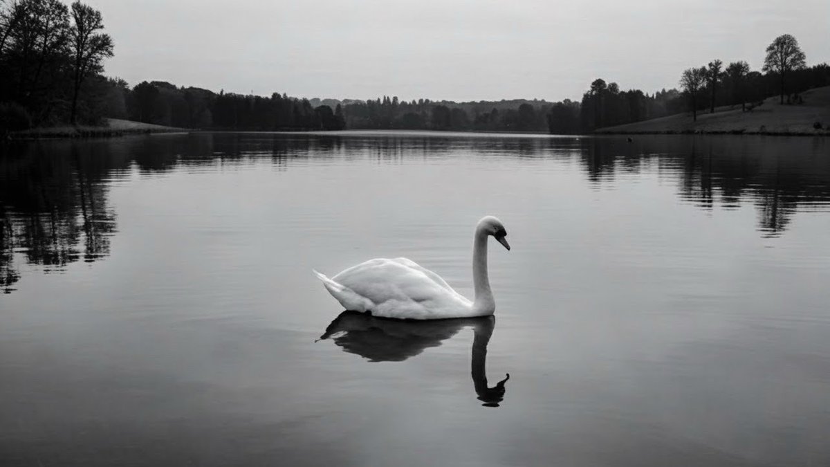 575 Haiku Poet tweet media