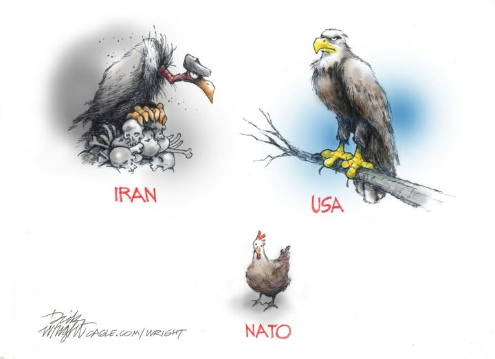 NWRain-Judi tweet media