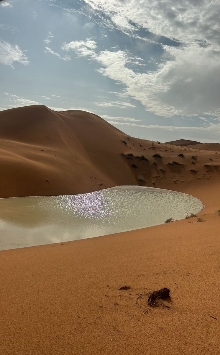 Khaled Alshebli. tweet media