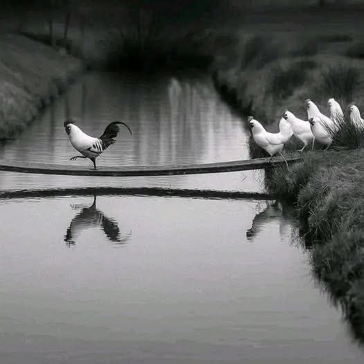 ليت الماضي يعود tweet media