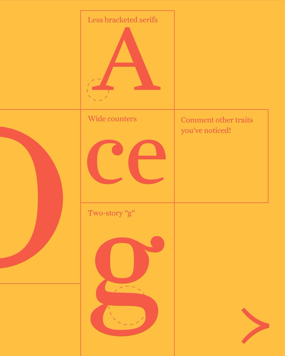 Type Network tweet media