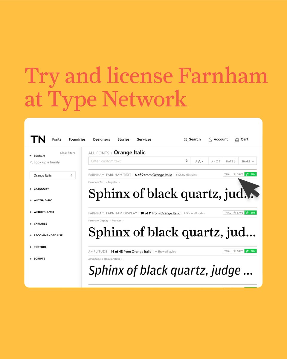 Type Network tweet media