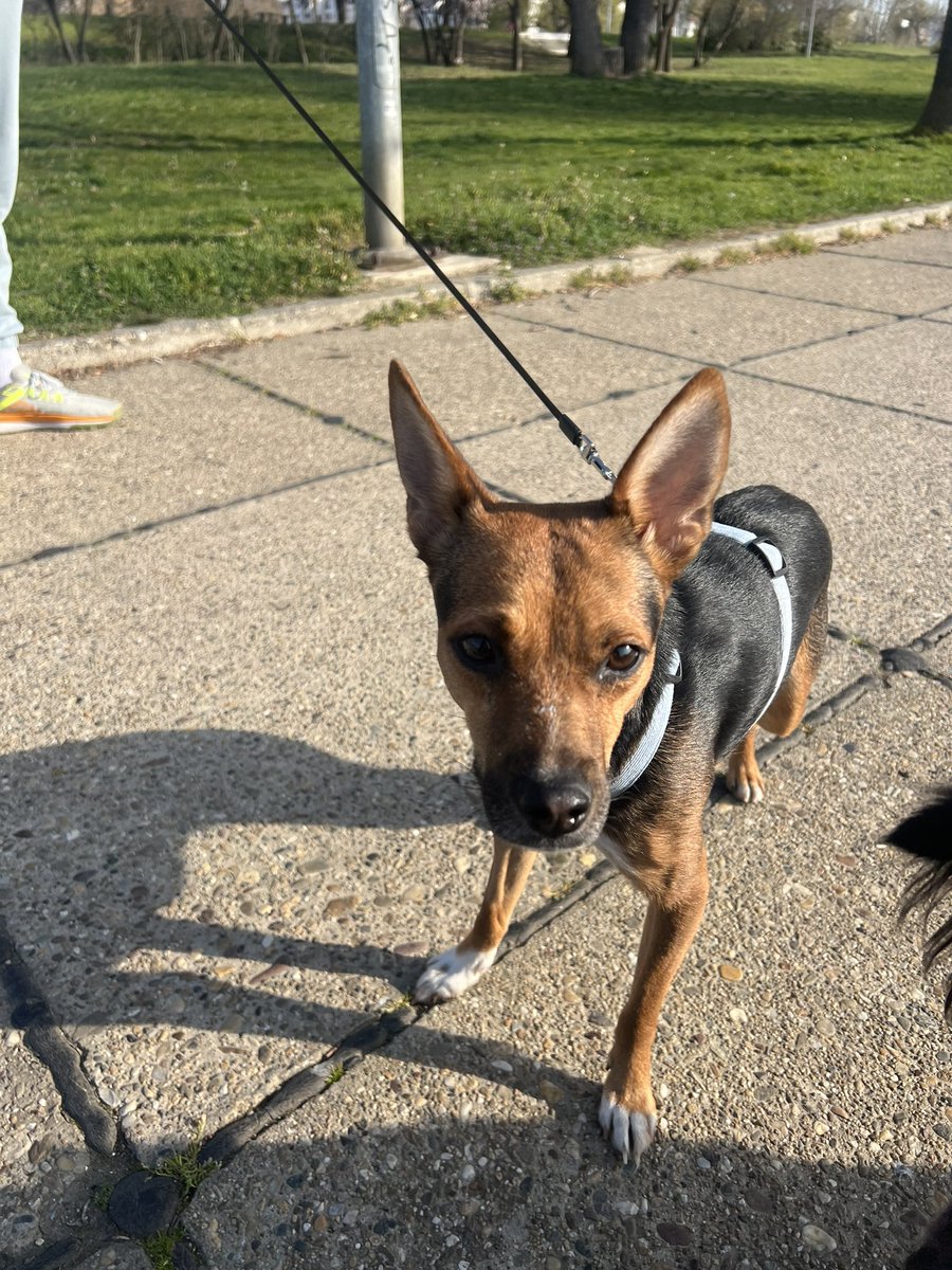 АлегзИШ tweet media