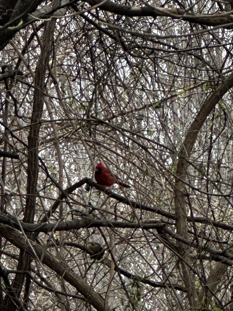 emmy award winner tweet media