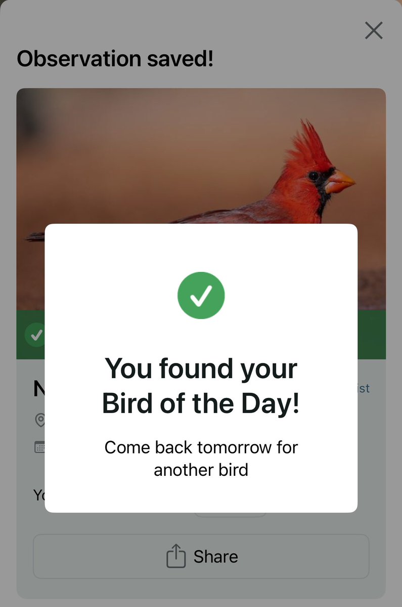 emmy award winner tweet media