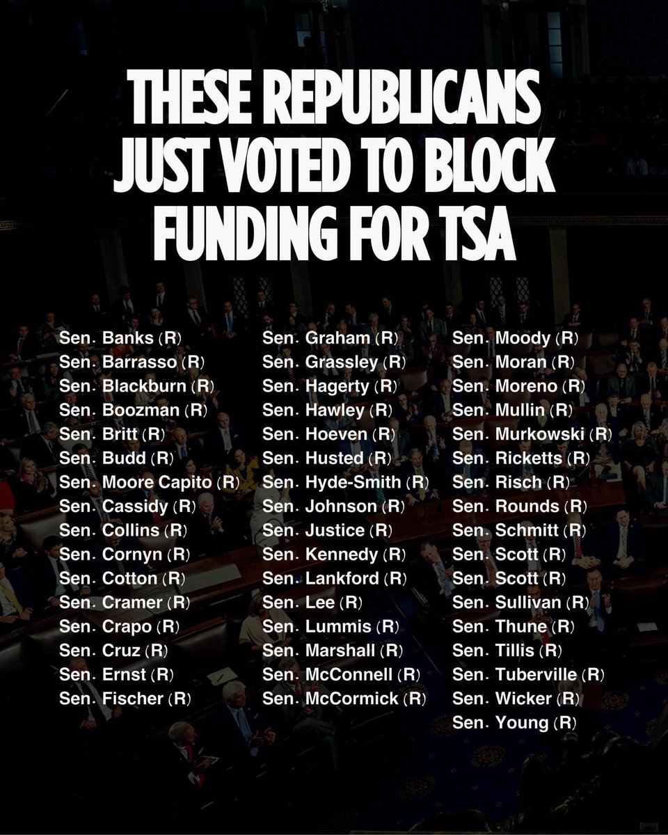 kamikaze tweet media