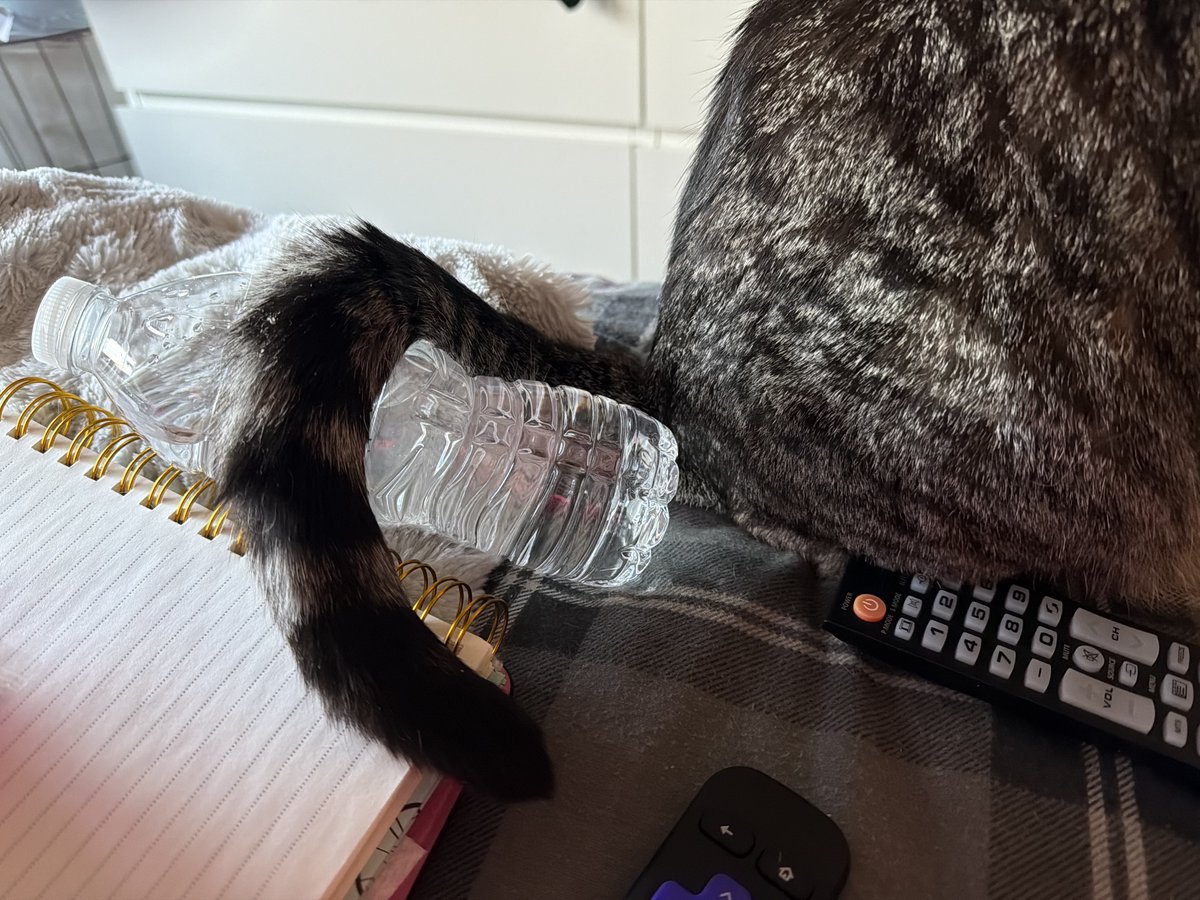 🐛🌷Dean🦋🪴 tweet media