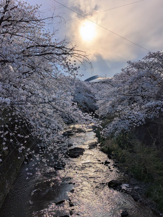 ちえきち tweet media