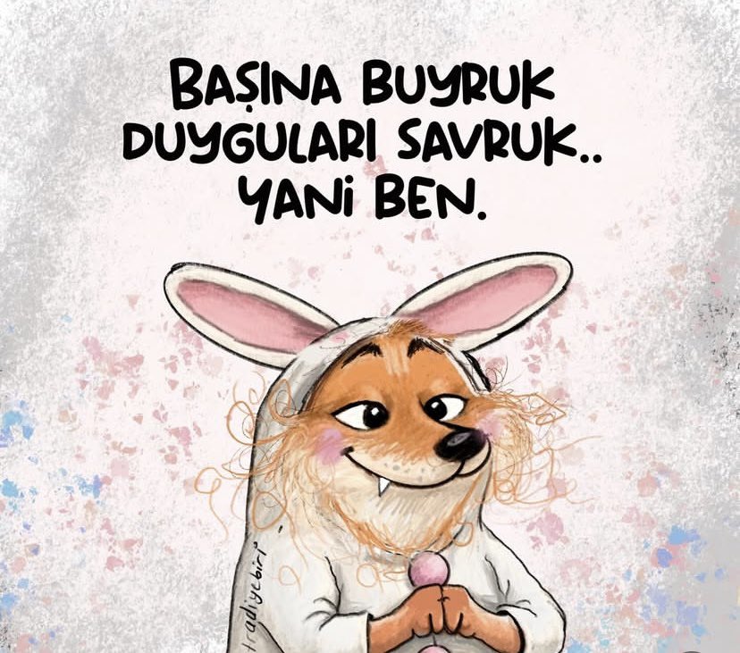 Kedi Kulübü (@kedikulubu) on Twitter photo 