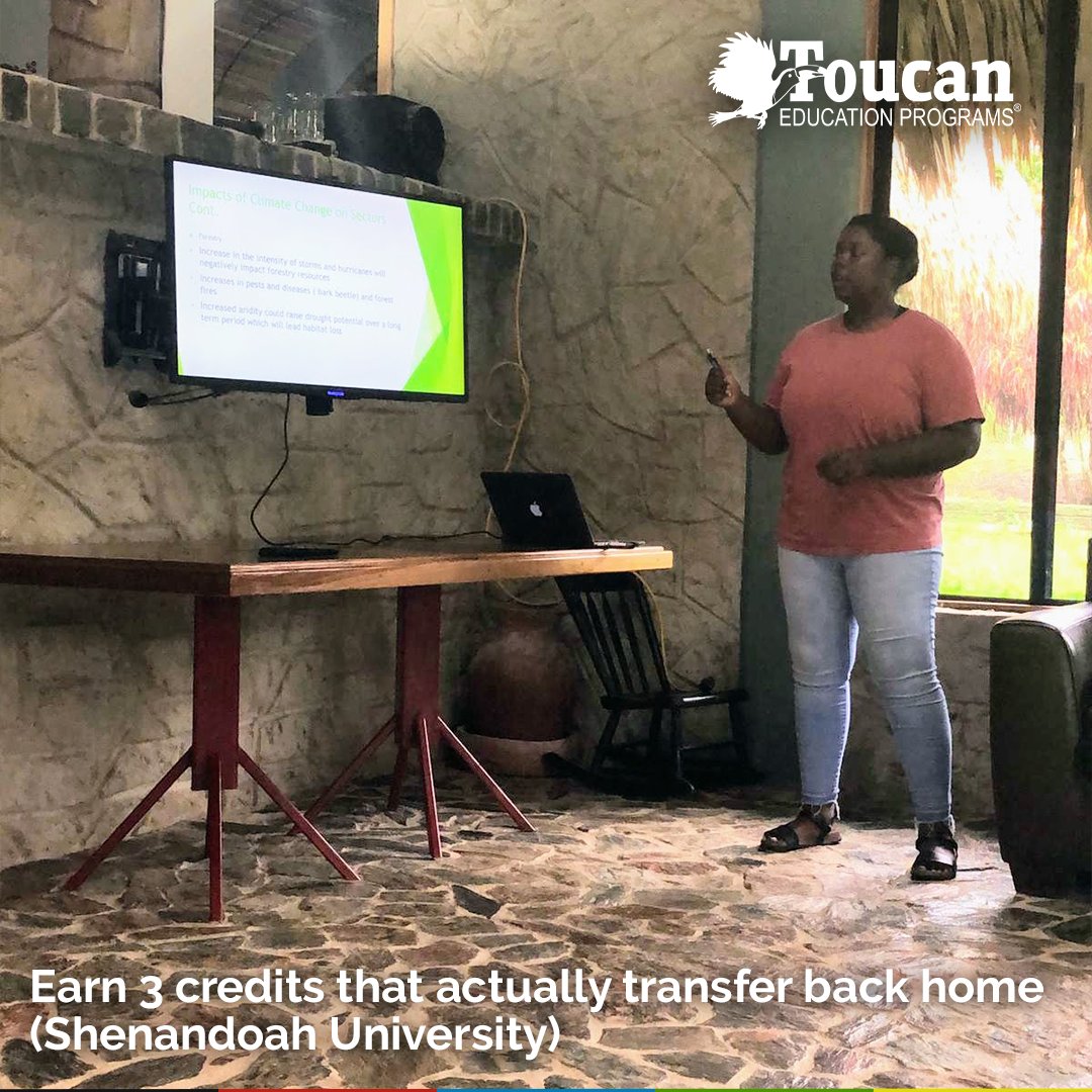 Toucan Education Programs tweet media