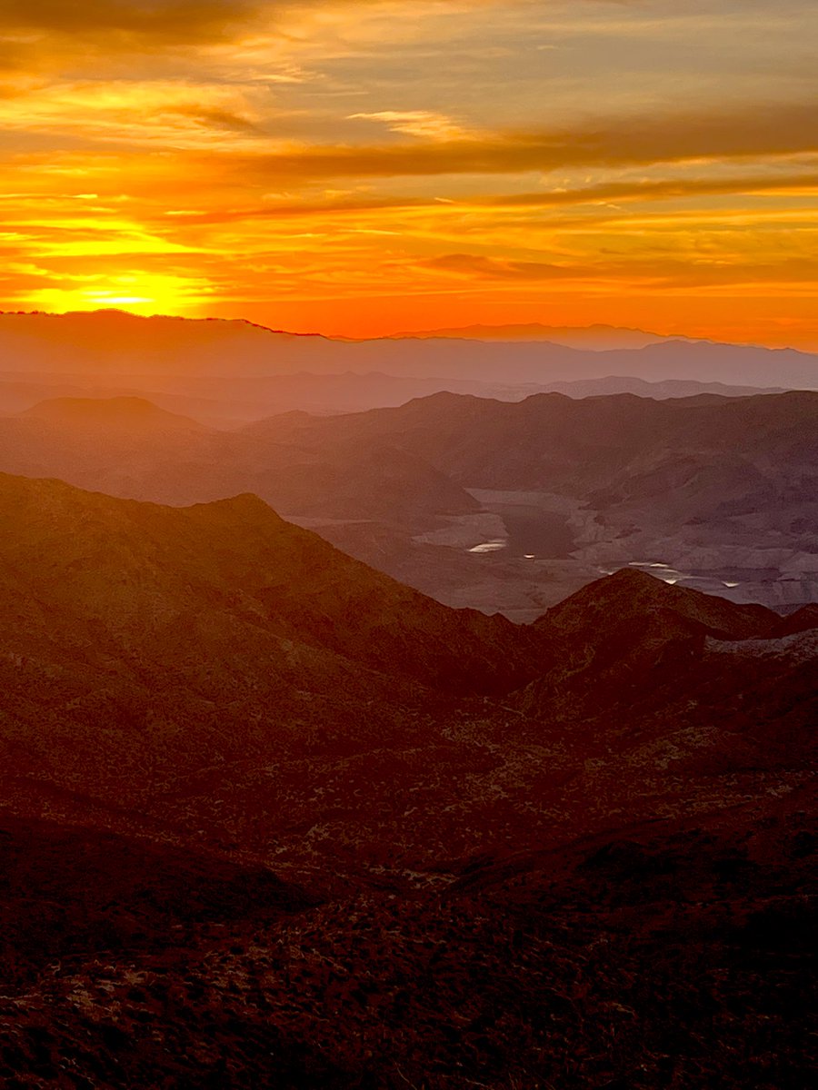 Flawwed1 tweet media