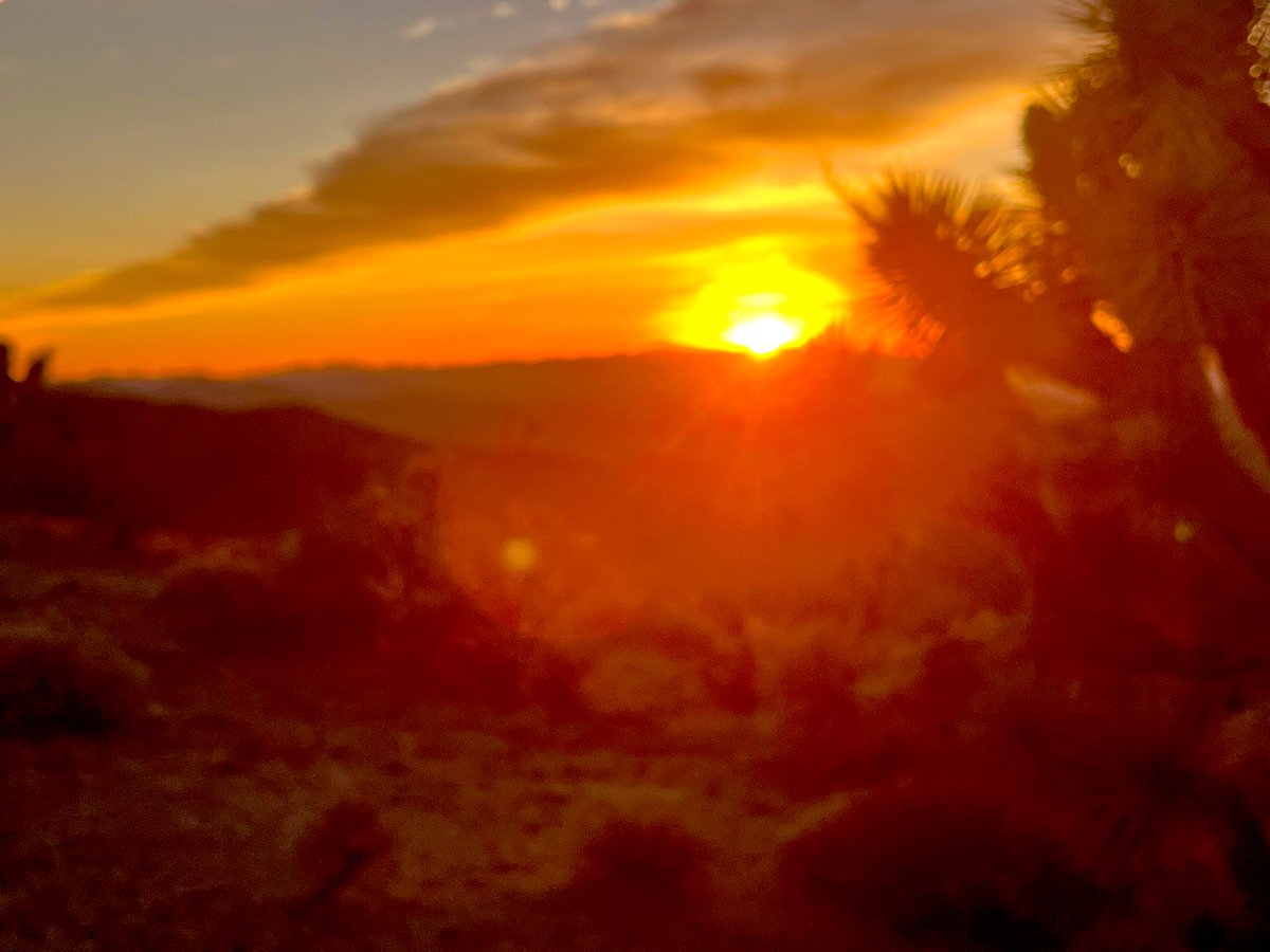 Flawwed1 tweet media