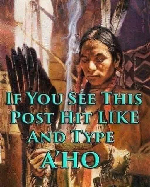 Native American Pride tweet media