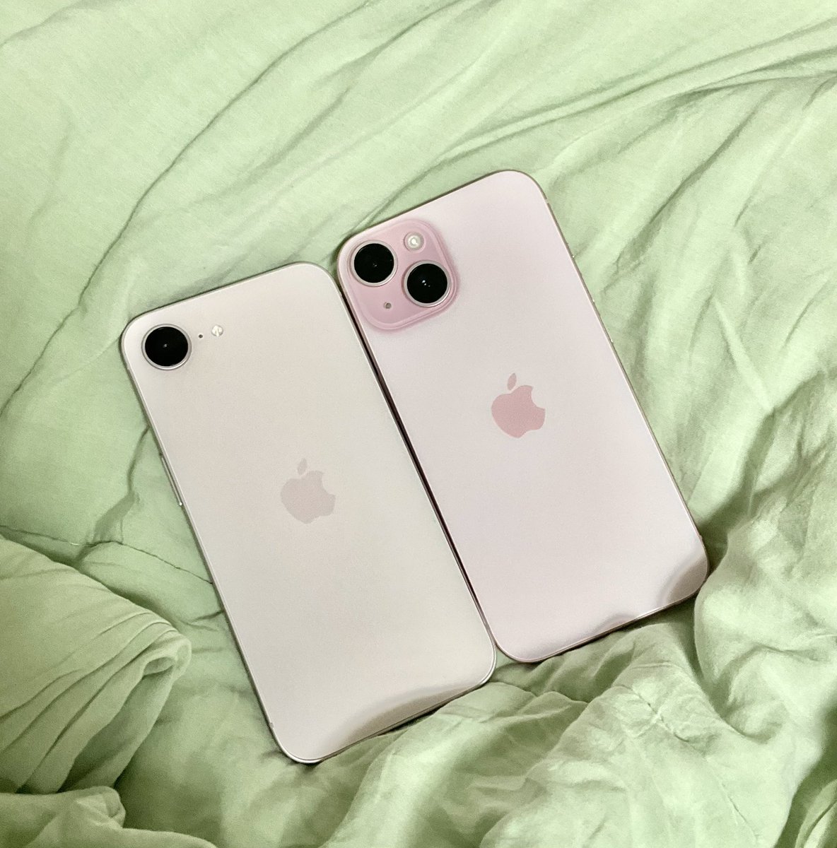 양너불 tweet media