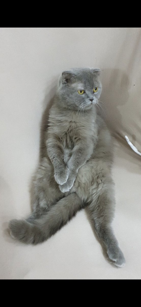 lowkeytaha tweet media