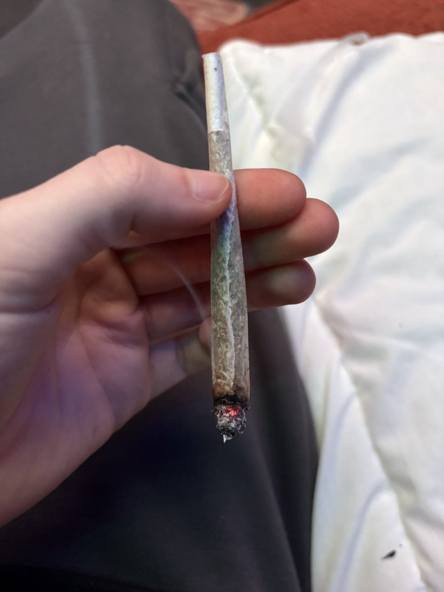 Rick C-137 🍃sh/edtwt 🛸 tweet media