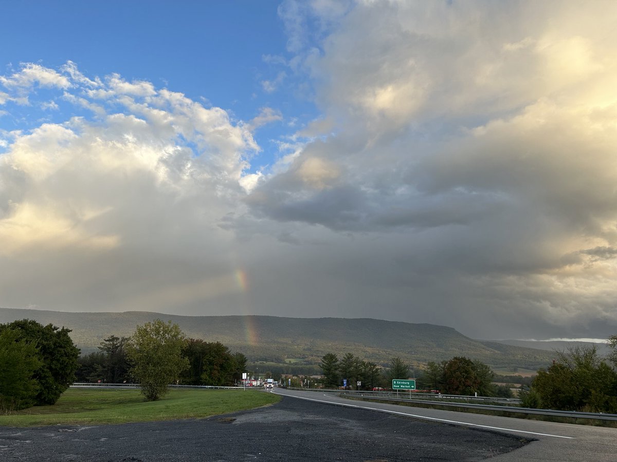 Carmen Palermo tweet media