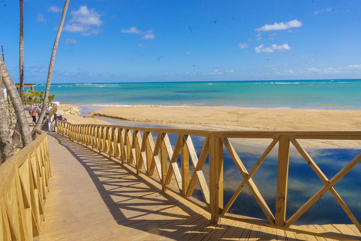 David Collado tweet media