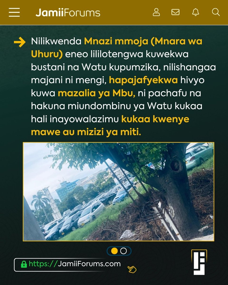 Jamii Forums tweet media