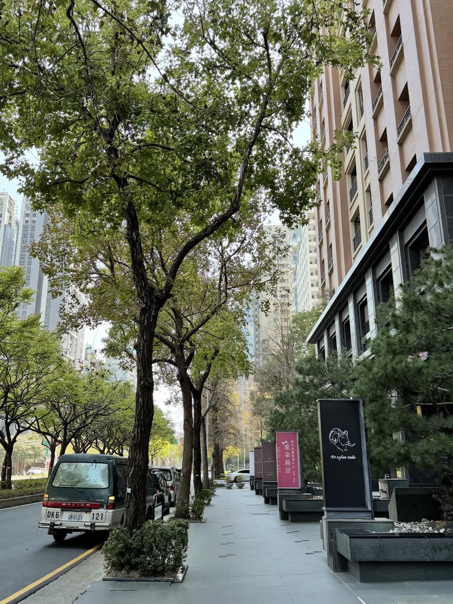 賣保險的kimi tweet media