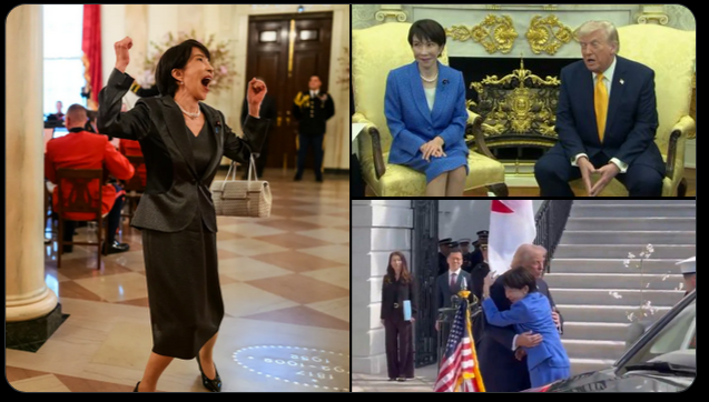 midorioshii tweet media