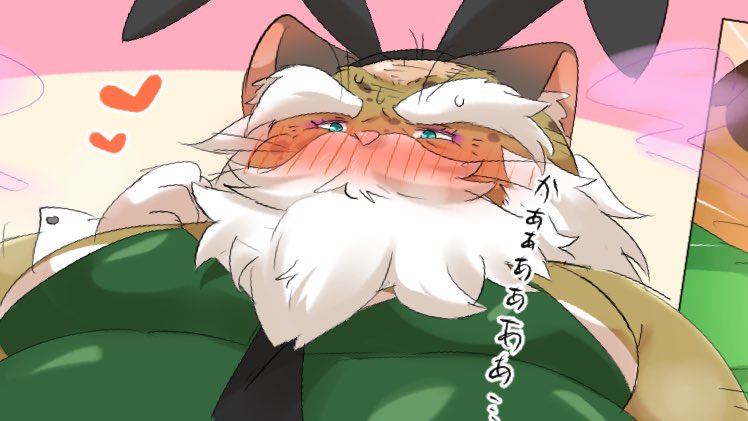 しろちょこ tweet media