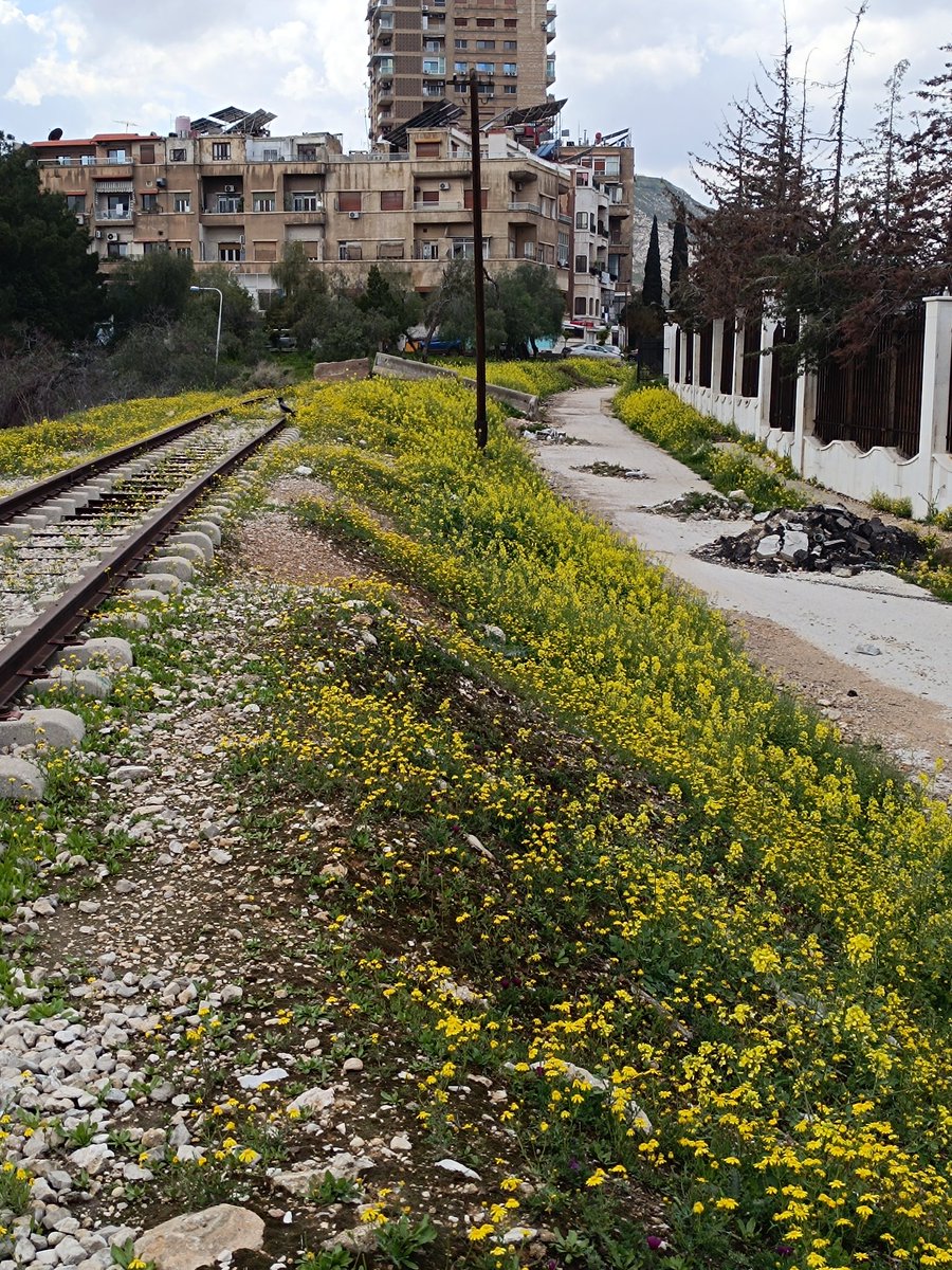 هادي tweet media