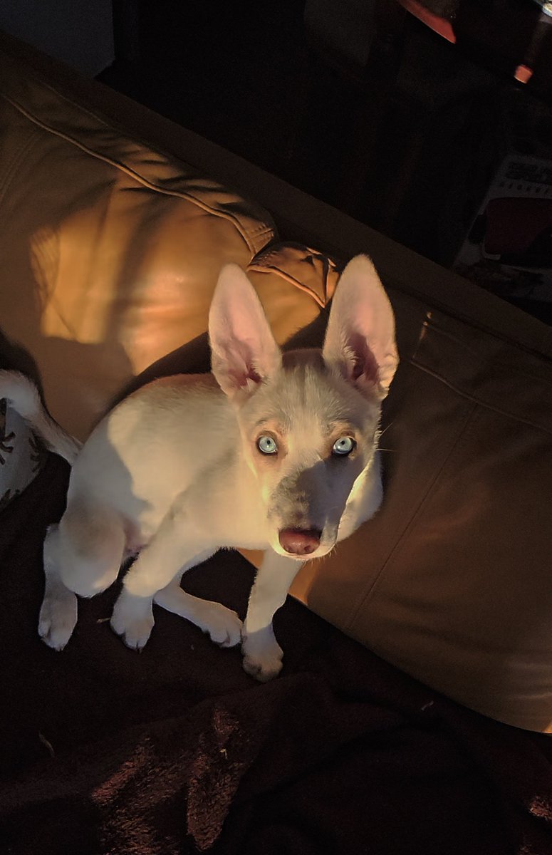 Ettoksib🇫🇷 tweet media