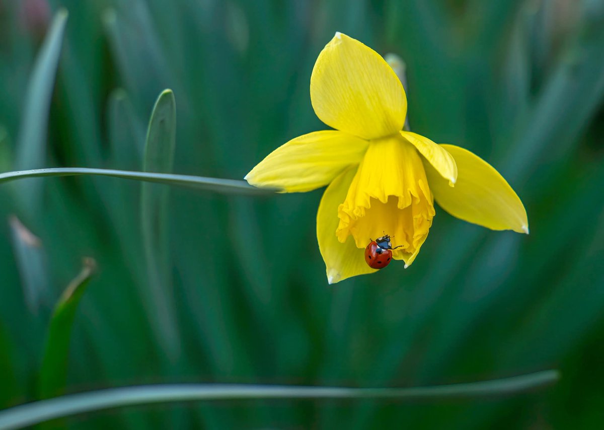 Elpresidente tweet media