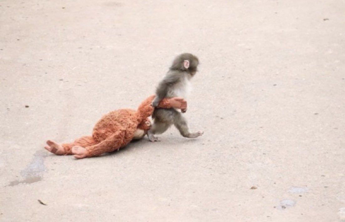 𝐏𝐲𝐫𝐨 𝐑𝐞𝐝 tweet media