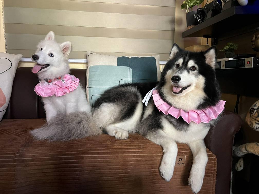 🌸 EEVA LANCASTER tweet media