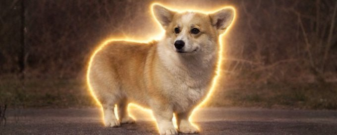 madapescall's tweet image. Just launched, $DAPANG is the leader Corgi of the Seven dogs that rescued themselves and are going viral. Good branding and ticker, Moving well so far. Degen gamble ad always DYOR

t.me/theleaderdapang
x.com/i/communities/…

CpP36fvZmbcDUH9tQihQZTcvH2ApwRzHh2pPojyWpump