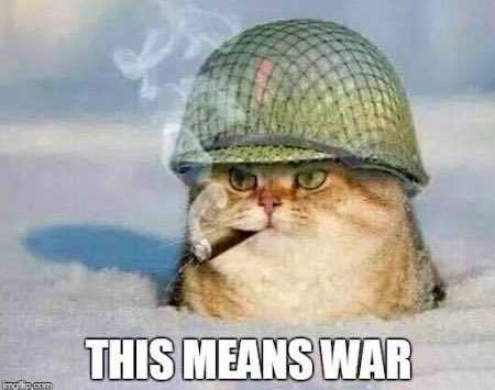 Invictus of Sol tweet media