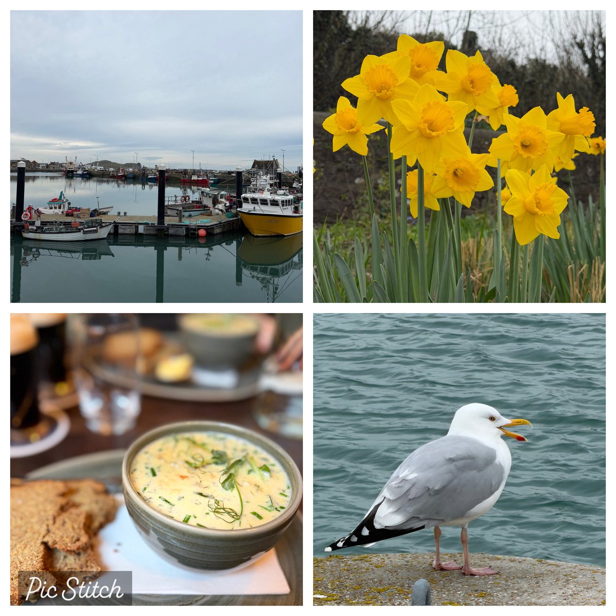 Laura Smith tweet media