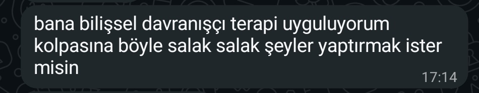 Frisbee Fatih tweet media